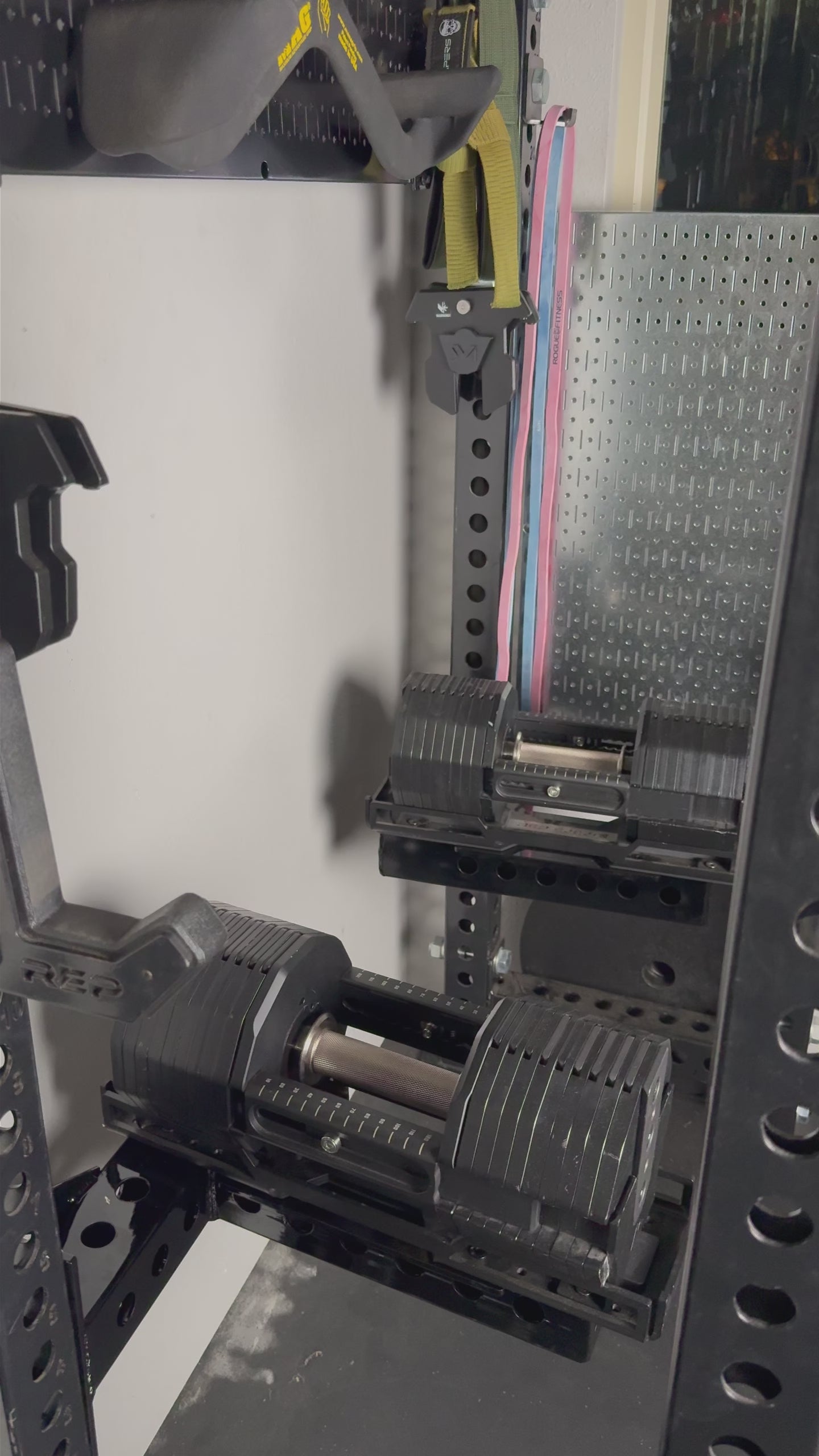 THE SENTINEL - REP x PÉPIN Adjustable Dumbbell Arms